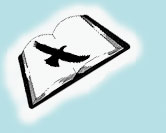 Biblical Counseling Distribution